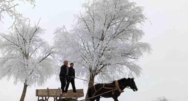 Erzincan'ın Otlukbeli ilçesi buz tuttu!