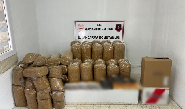 Gaziantep'te 1 ton 700 kilo kaçak tütün ele geçirildi: 5 gözaltı