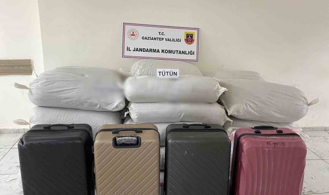 Gaziantep'te 1 ton 750 kilo kaçak tütün ele geçirildi