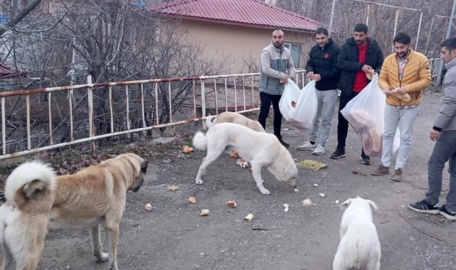 Gençlerden sokak hayvanları için seferberlik