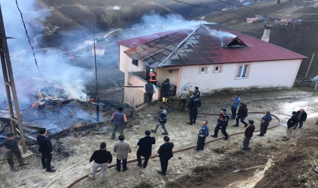 Giresun'da çıkan yangın maddi hasara neden oldu