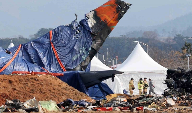 Güney Kore'de kaza yapan uçağın motorlarında kuş tüyü bulundu