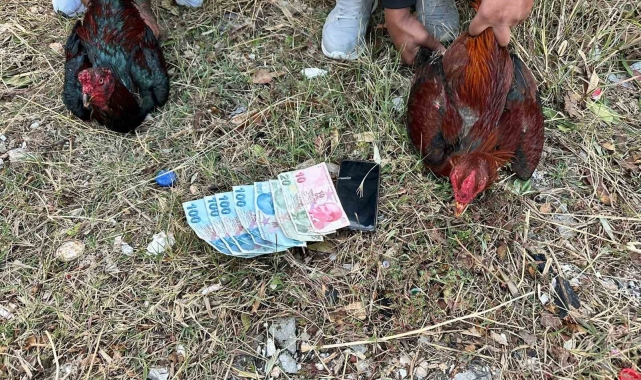 Hatay'da horoz dövüşü baskını: 14 kişiye 41 bin 350 lira ceza