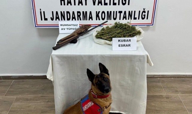 Hatay'da Jandarma'dan uyuşturucu ve kaçakçılık operasyonu; 25 gözaltı
