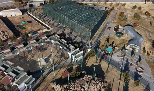 Hayvanat bahçesinde 2024 dolu dolu geçti