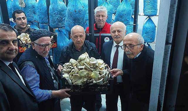 Huzurevi sakinlerinin mantar hasadı heyecanı