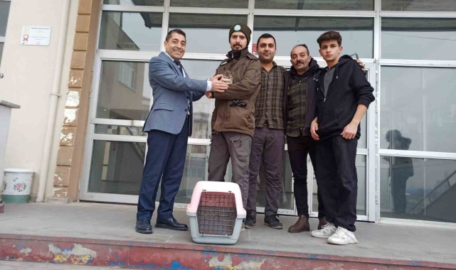 Iğdır'da bitkin halde bulunan kukumav kuşu tedaviye alındı