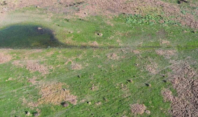 İstanbul'da barajlardaki doluluk oranı yüzde 40,8 oldu