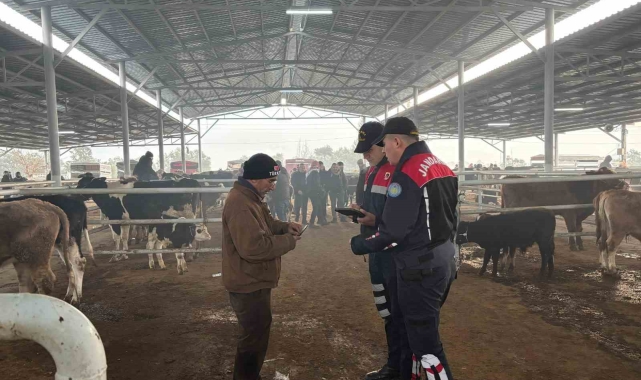 Jandarmadan, hayvan pazarında 'dolandırıcı' denetimi