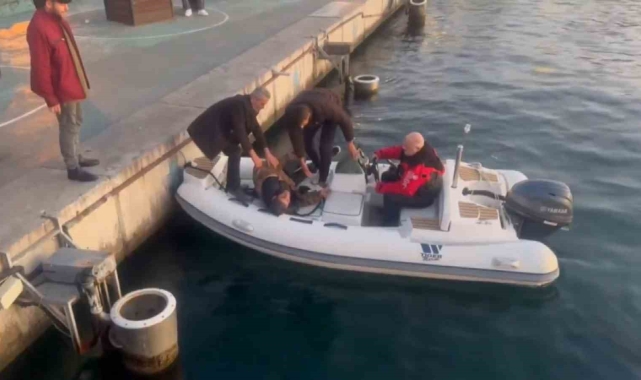 Kadıköy'de denize düşen alkollü olduğu iddia edilen vatandaştan ilginç cevap: "Allah beni boğmuyor"