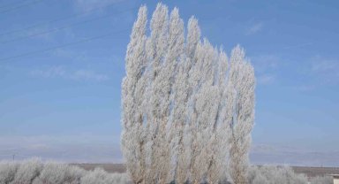 Kars dondu, ağaçlar kırağı tuttu