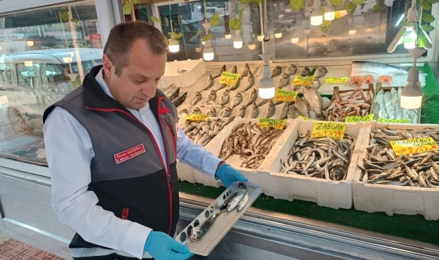 Kastamonu'da su ürünleri denetimlerinde 14 kişiye toplam 244 bin lira ceza uygulandı