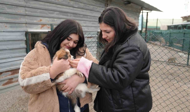 Keçiören Belediyesi Pati Yaşam Köyü'ndeki hayvanların ziyareti 4 güne çıktı