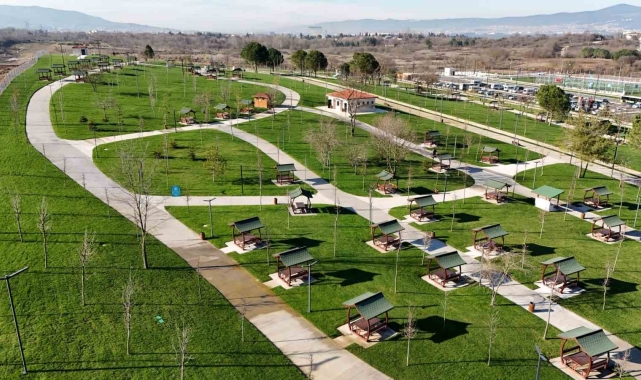 Kocaeli'de son 22 yılda dikilen ağaç sayısı 9 milyonu geçti