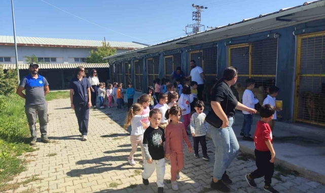 Kreş öğrencileri sokak hayvanlarını ziyaret etti