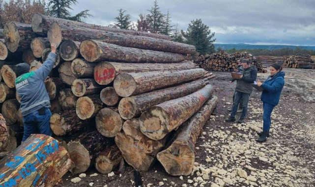 Kütahya'da orman emvallerinin yıl sonu sayımları yapıldı