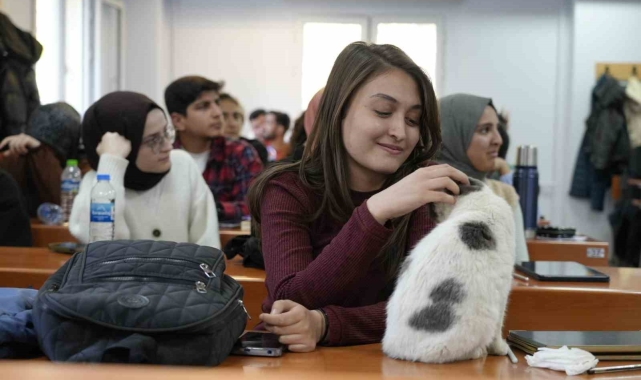 'Labne' fakültede öğrencilerle derslere giriyor