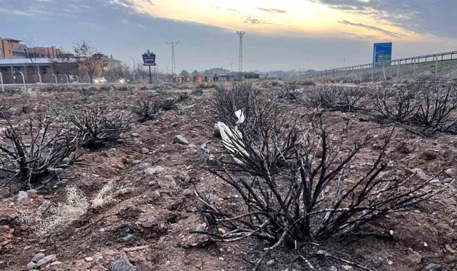 Lavanta bahçesine kilit vuruldu