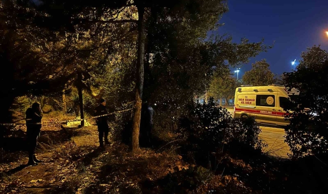 Maltepe'de şüpheli ölüm: 33 yaşındaki şahıs yol kenarında ölü bulundu
