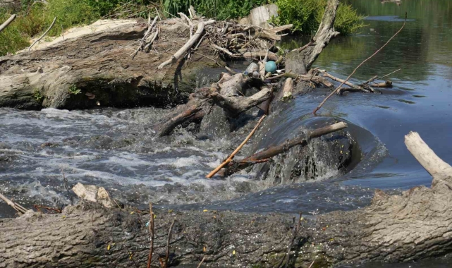 Marmara Denizi'nde müsilajın nedeni belli oldu