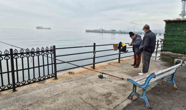 Marmara'da oltalar suya, kediler gözlerini balığa dikti