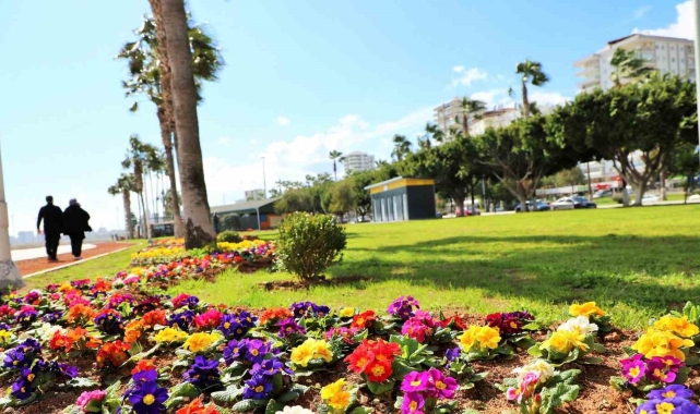 Mersin'de kentin dört bir yanı rengarenk çiçeklerle donatılıyor