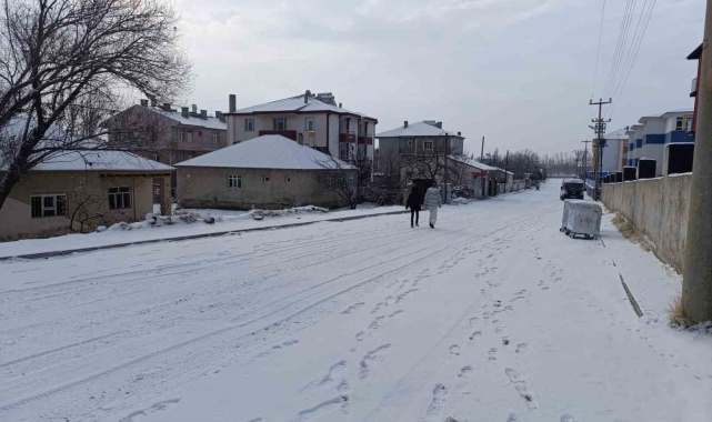 Muradiye'de kar yağışı