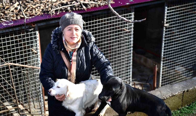 Ortahisar Belediyesi&#039;nden hayvansever vatandaşlara mama desteği