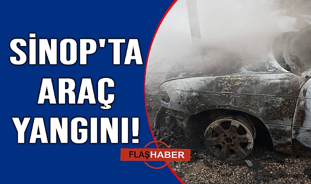 Park halindeki araç küle döndü