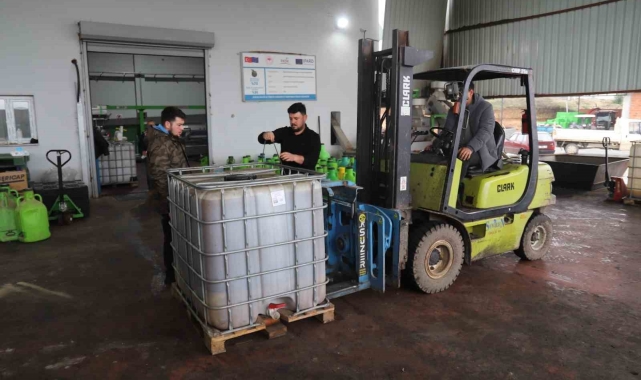 Park ve bahçelerdeki zeytinler ihtiyaç sahipleri için zeytinyağına dönüştürüldü