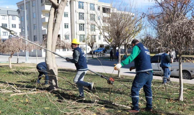 Park ve sokaklarda peyzaj çalışmaları devam ediyor