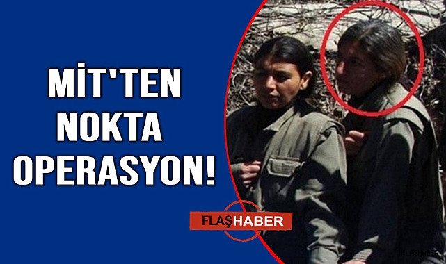 PKK/YPG'nin sözde yöneticisine Suriye'de nokta operasyon