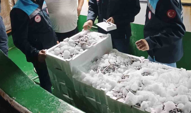 Reis 48 Kontrol Gemisi hamsi denetiminde