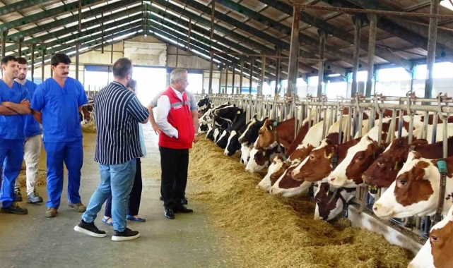 Sağlam: "Hayvancılık sektörüne bir yılda 57 milyon 289 bin TL destek"