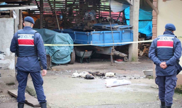 Sakarya'da 2024'ün son haftasında meydana gelen olaylar