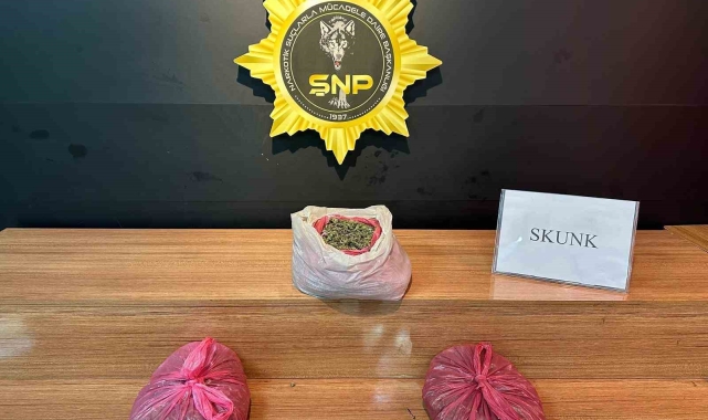 Şanlıurfa'da 2 kilo skunk ele geçirildi: 2 tutuklama