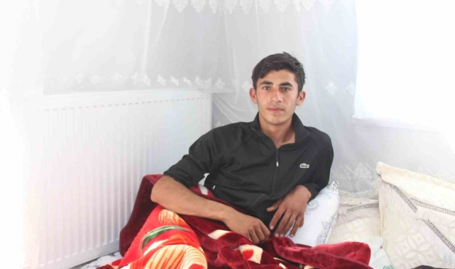 Siirt'te domuz sürüsüsün saldırısı sonucu yaralan genç İHA'ya konuştu