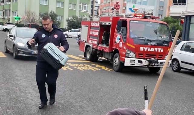 Sıkışan kedi için zamana karşı yarış