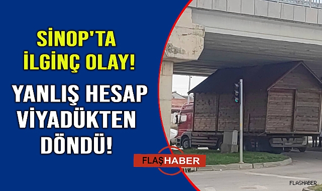 Sinop'ta ilginç olay