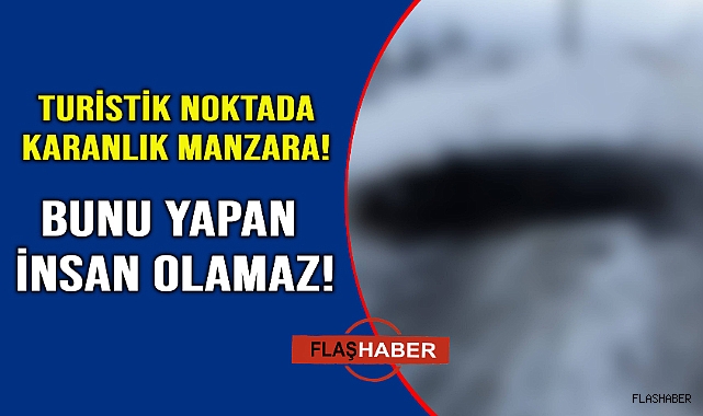 Sinop'ta üzen manzara