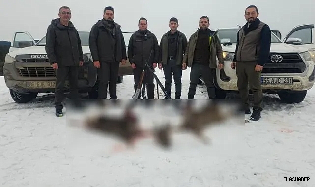 Sinop&#039;ta yasak av pahalıya patladı