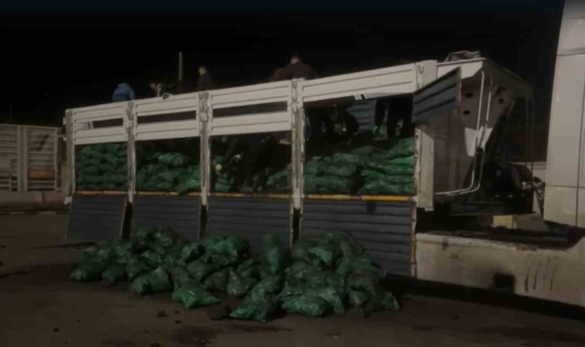 Şırnak'ta kömür yüklü tırda 50 kilo metamfetamin ele geçirildi