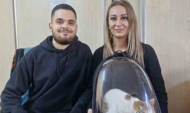 Söke'de evcil hayvanlar kayıt altına alınıyor