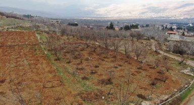 Suriye'de rejimin engellediği tarım yeniden başladı