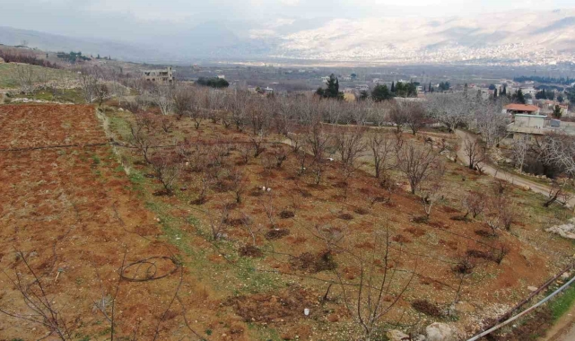 Suriye'de rejimin engellediği tarım yeniden başladı