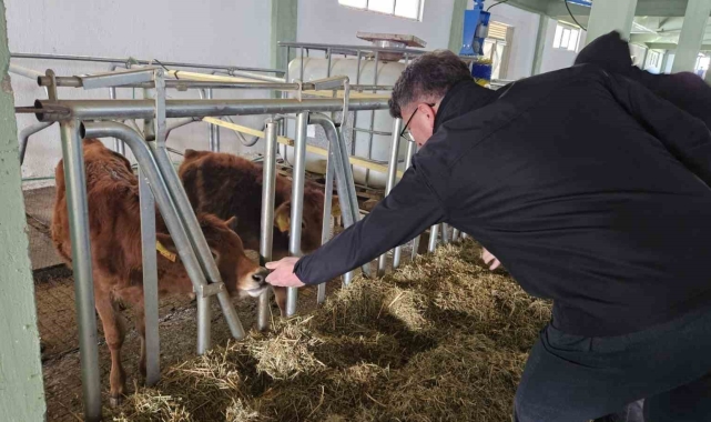 Tarım ve Orman İl Müdürlüğü'nden Tepebaşı'ndaki işletmeye Ari İşletme sertifikası
