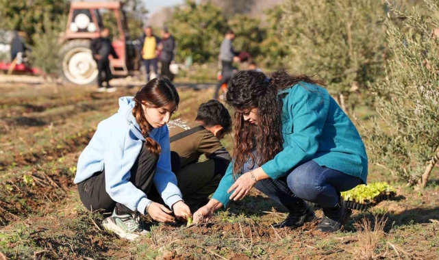 Tarsus'ta 5 bin marul fidesi toprakla buluşturuldu