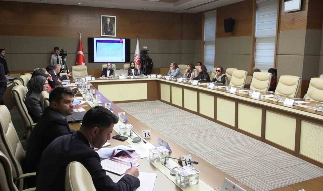 TBMM'de komisyonda konuşan Psikiyatrist Tarhan: "1994-2016 arasında tek kişilik haneler hızla artıyor, 5 kişilik haneler hızla azalıyor"