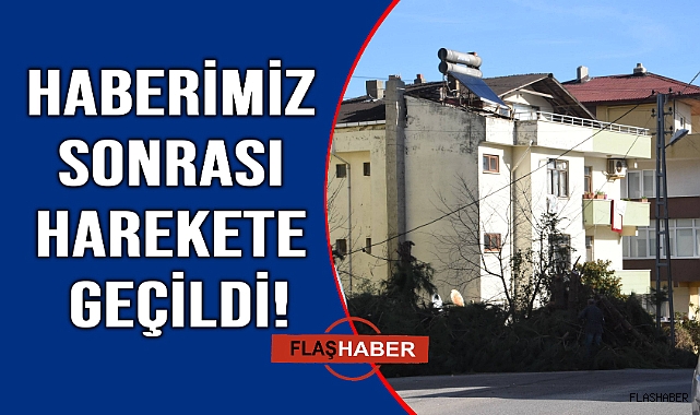 Tehlike oluşturan ağaç kesildi
