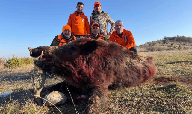 Tekirdağ'da avlanan 250 kiloluk yaban domuzu büyüklüğüyle şaşırttı